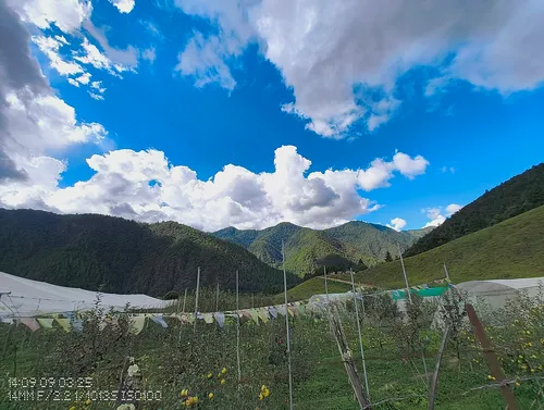 Top 10 Things to Do in Shergaon, Arunachal Pradesh