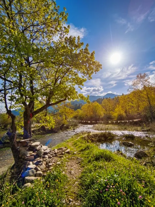 Best Time to Visit Shergaon: Season-by-Season Guide