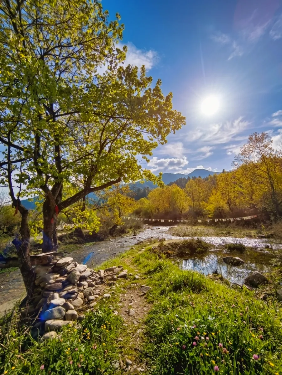Best Time to Visit Shergaon: Season-by-Season Guide